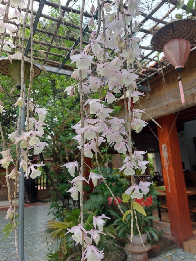 Trang An Family Homestay Ninh Bình Ngoại thất bức ảnh