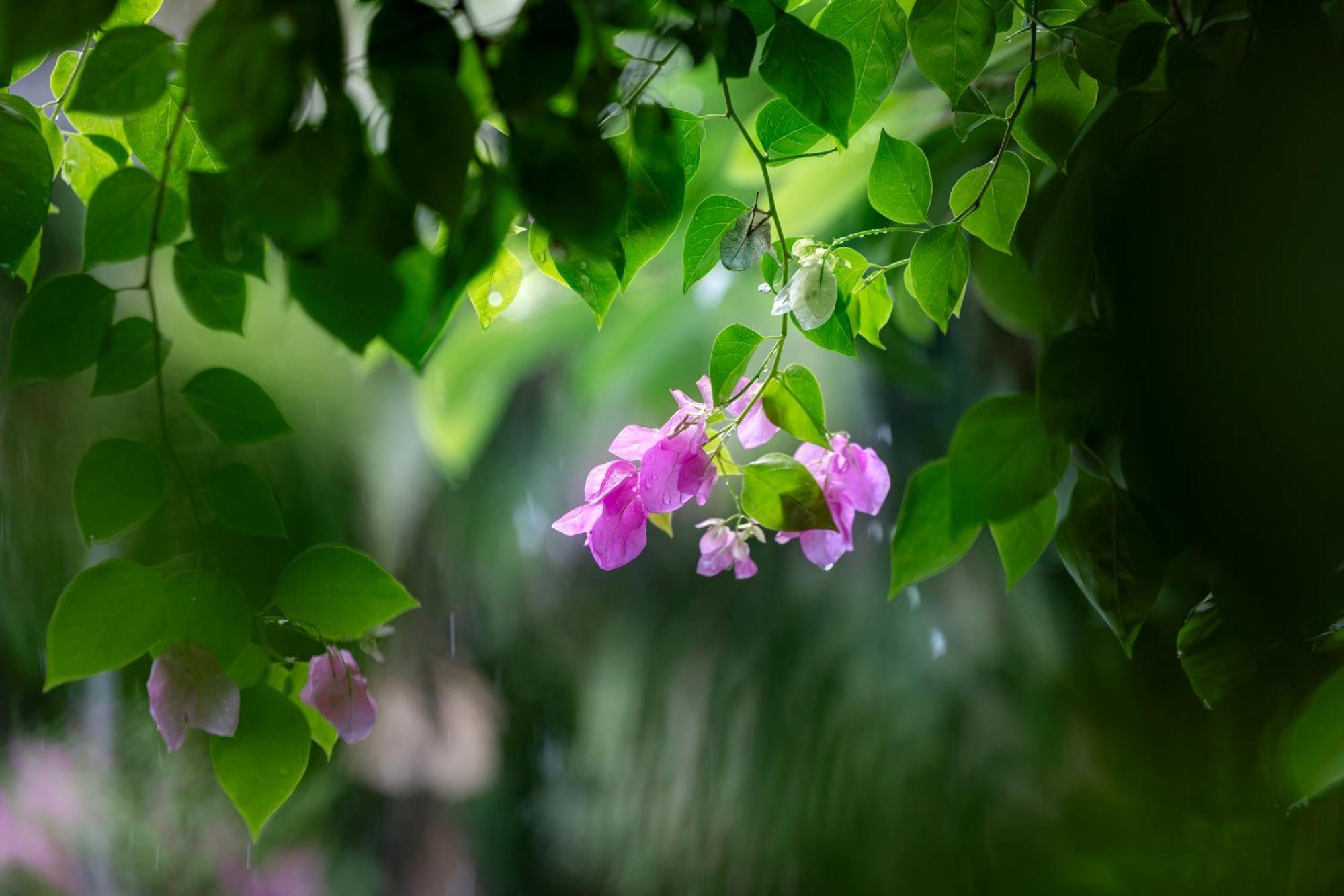 Trang An Family Homestay Ninh Bình Ngoại thất bức ảnh